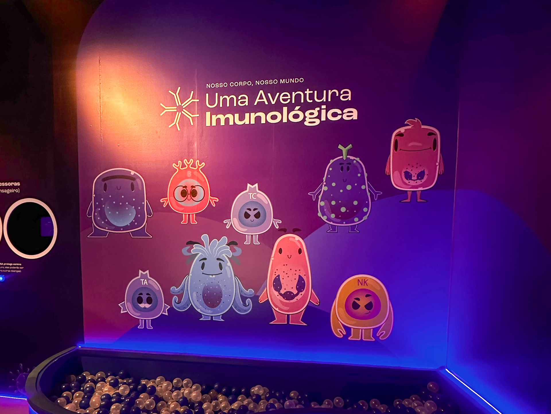Ambiente da exposição em Brasília